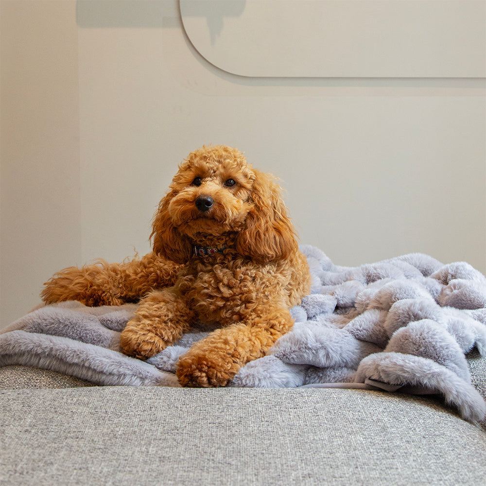 scruffs-aspen-blanket