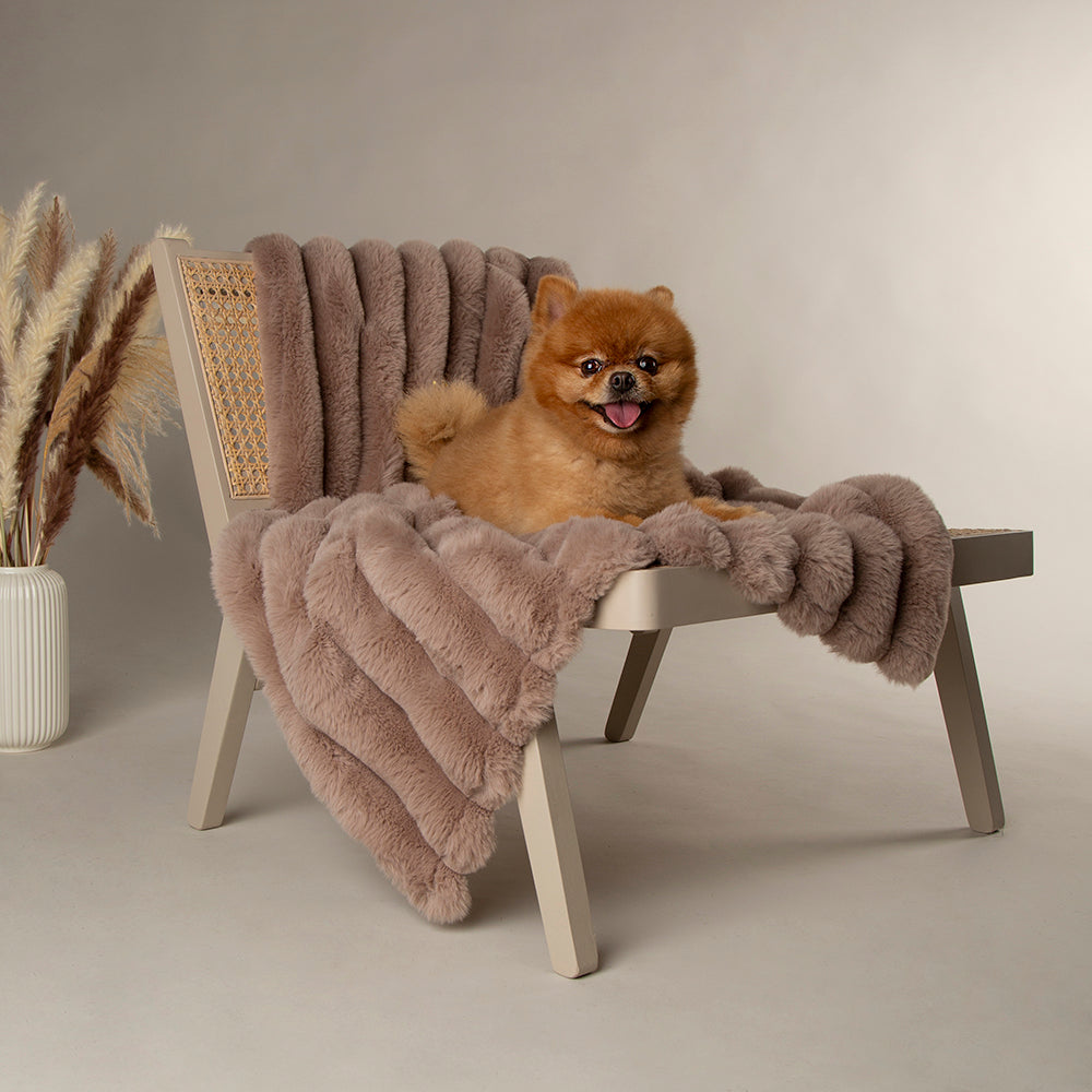 scruffs-aspen-blanket
