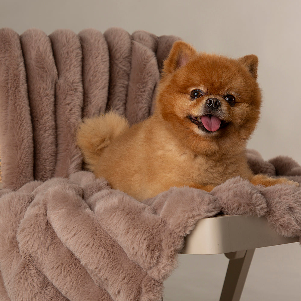 scruffs-aspen-blanket