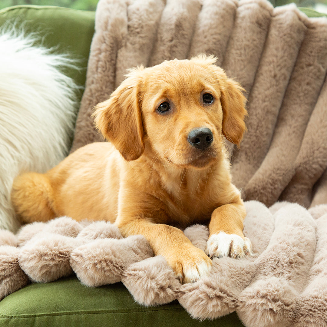 scruffs-aspen-blanket