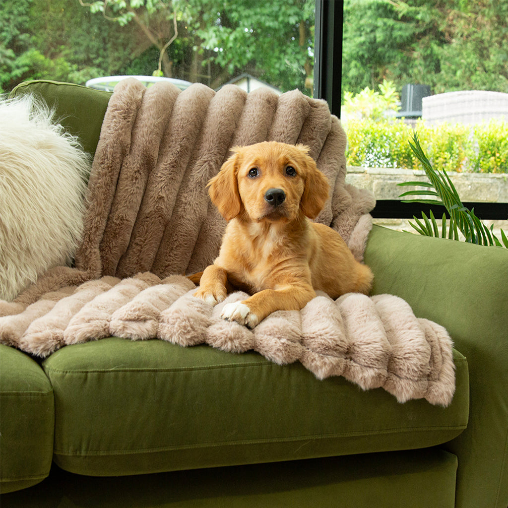 scruffs-aspen-blanket