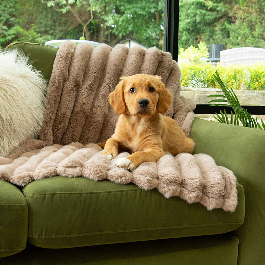 scruffs-aspen-blanket