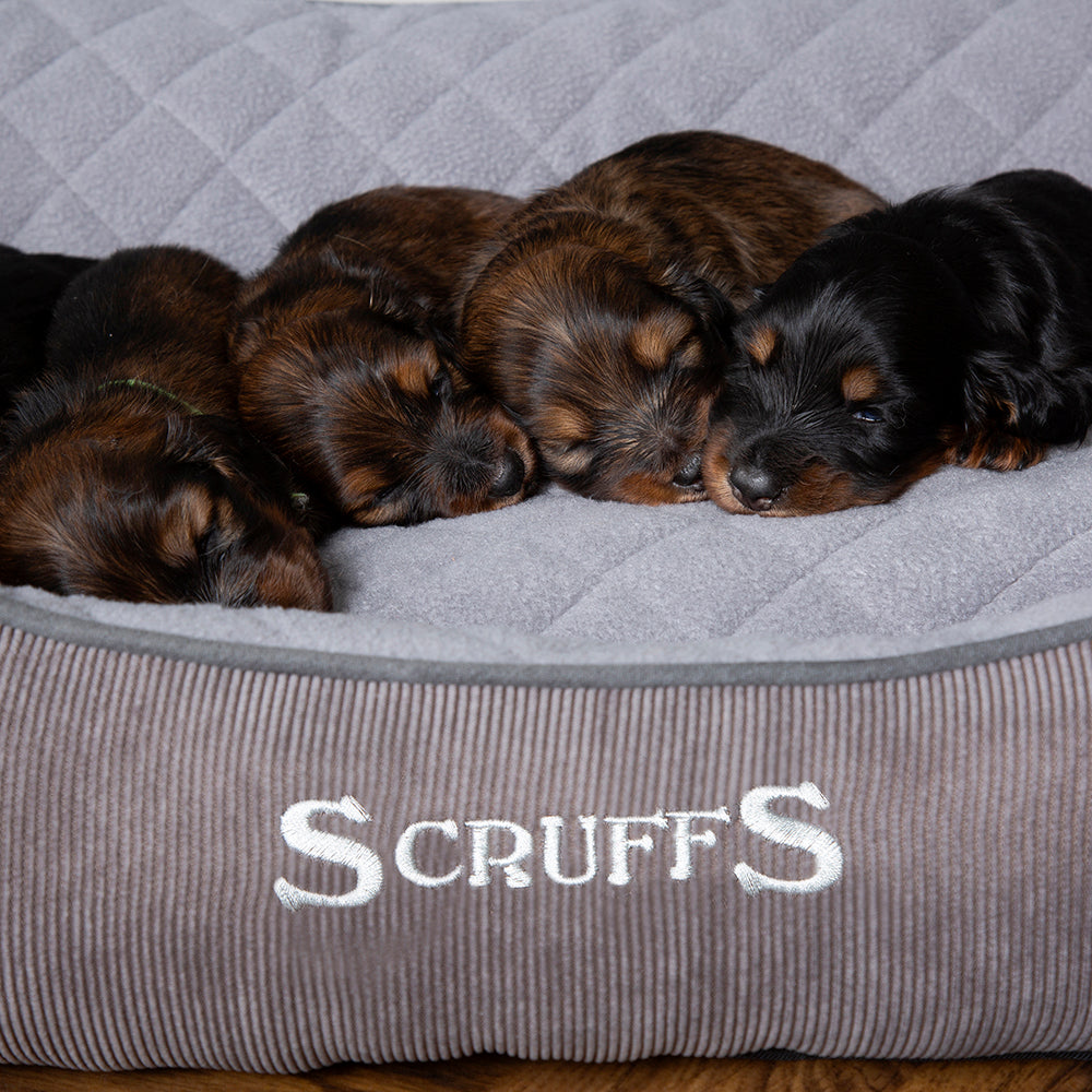 Thermal Box Bed - Grey