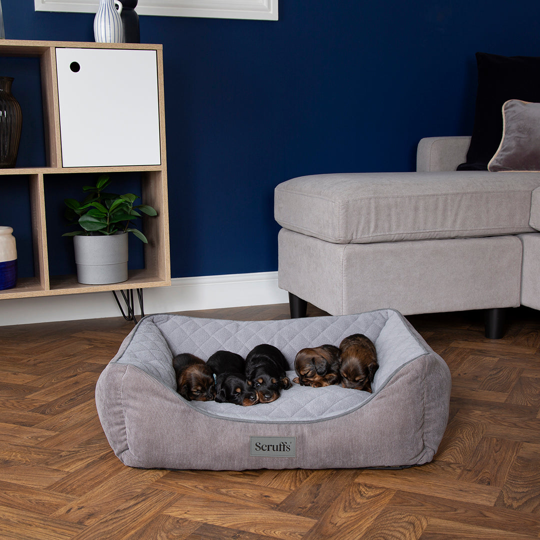 Thermal Box Bed - Grey
