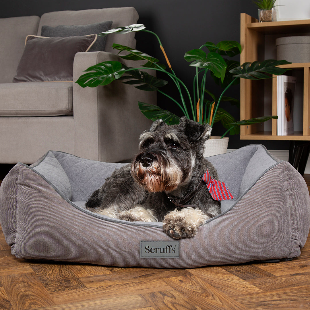 Thermal Box Bed - Grey