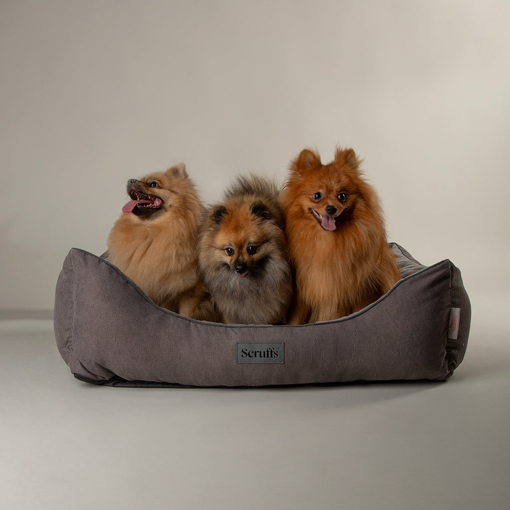 Thermal Box Bed - Grey