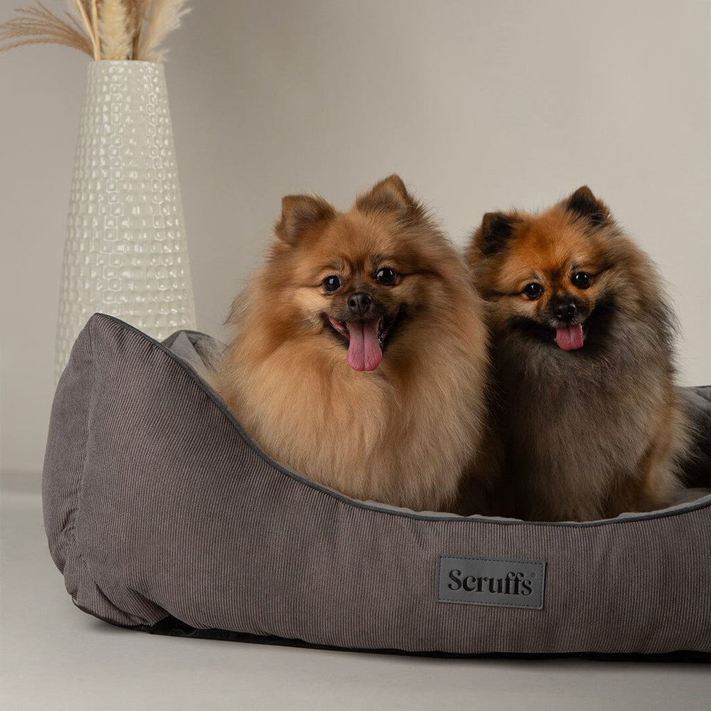 Scruffs® Thermal Box Bed Brown Tan