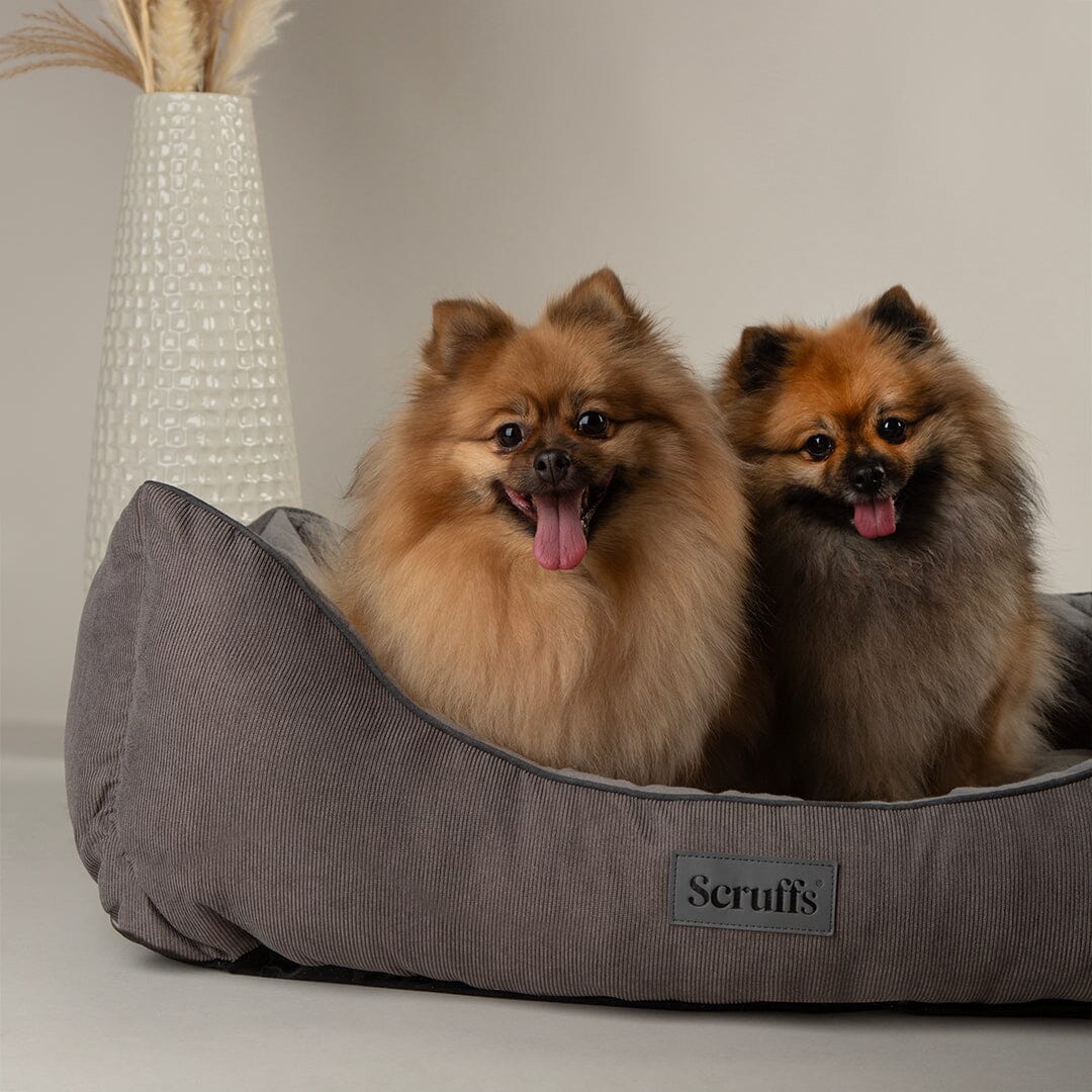 Scruffs® Thermal Box Bed Brown Tan
