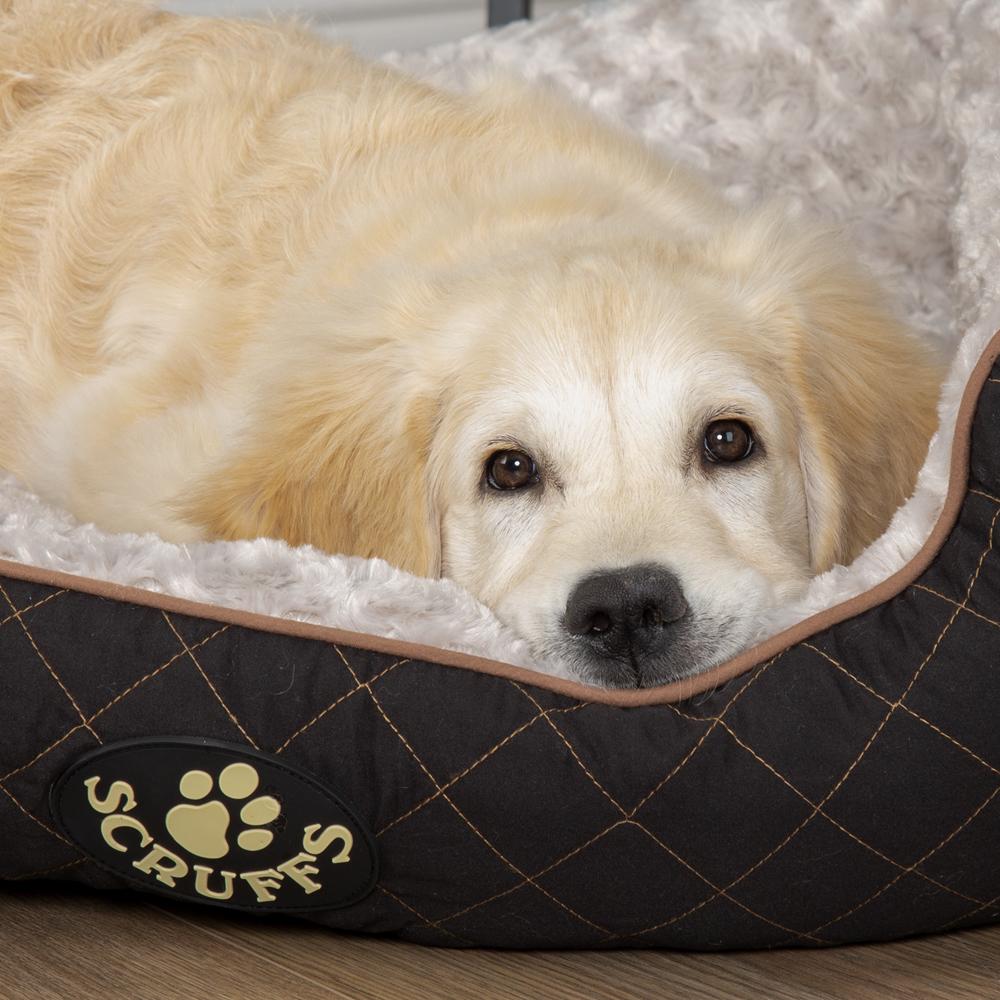 Scruffs® Wilton Box Dog Bed Black