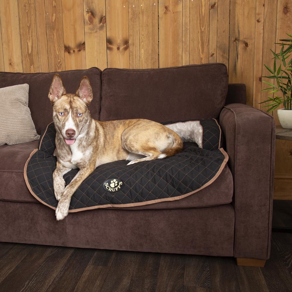 Scruffs® Wilton Sofa Bed Black