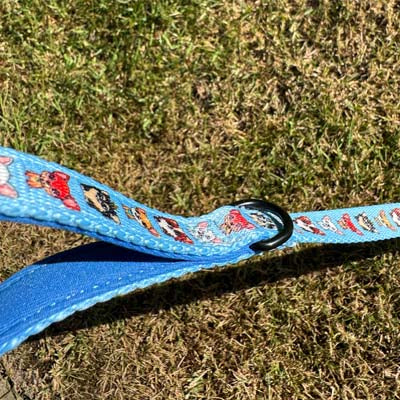 Blue Chihuahua Print Exclusive Lead by My Chi and Me