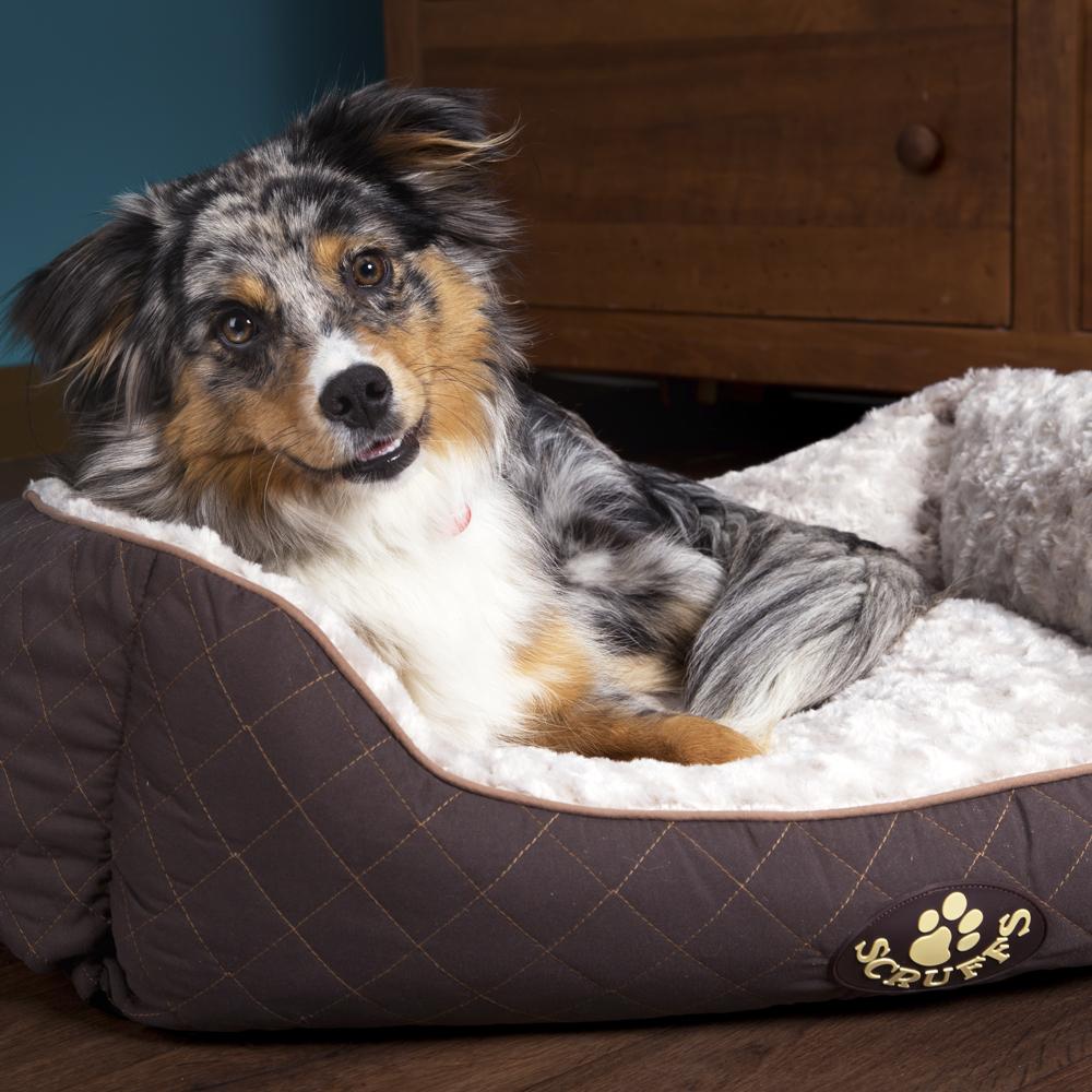 Scruffs® Wilton Box Dog Bed Brown