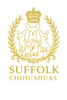 Suffolk Chihuahuas Ltd - Home