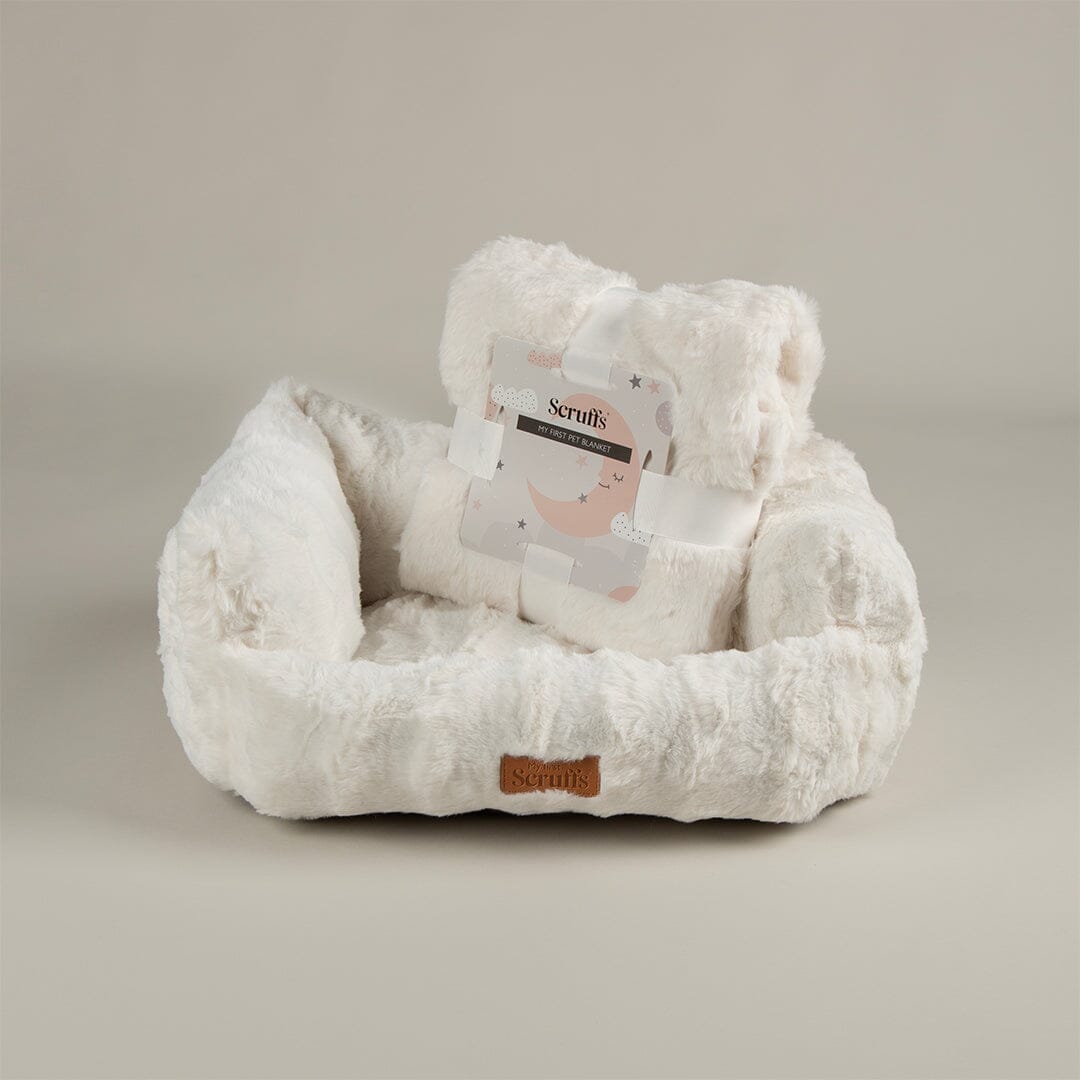 Cloud 'My First' Kitten & Puppy Box Bed & Blanket Set - Cream