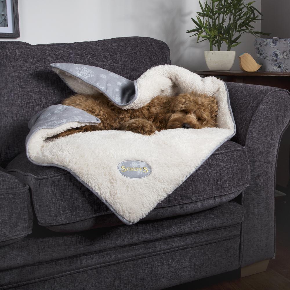 Winter Wonderland Snuggle Blanket - Grey