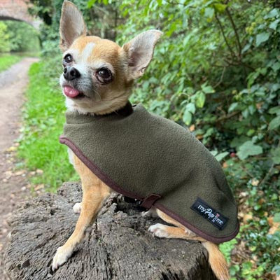 Tiny Toastie Water Repellent Fleece Dog Coat by My Pup and Me Hunter Green