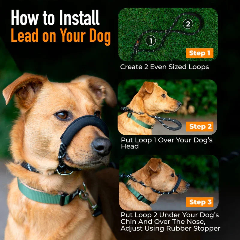 Total Pet Figure 8 Rope Medium/Large Dog Lead Black - RSP £19.99