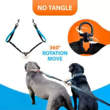 Explosive Double Dog Running Lead