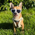 Tiny Trails Step In Soft Touch Suede Effect Faux Fur Lined Puppy and Small Dog Harness Mocha