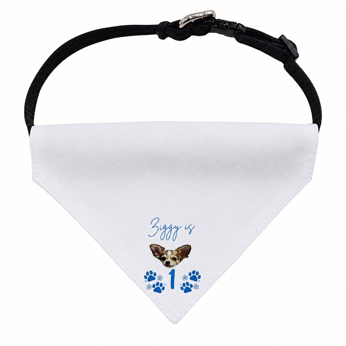 personalised birthday bandanna for toy breeds