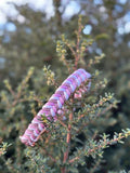 Sugarplum Fairy Braided - Handmade Paracord Dog Collar