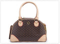 Outing convenient leather comfort pet bag travel carrier