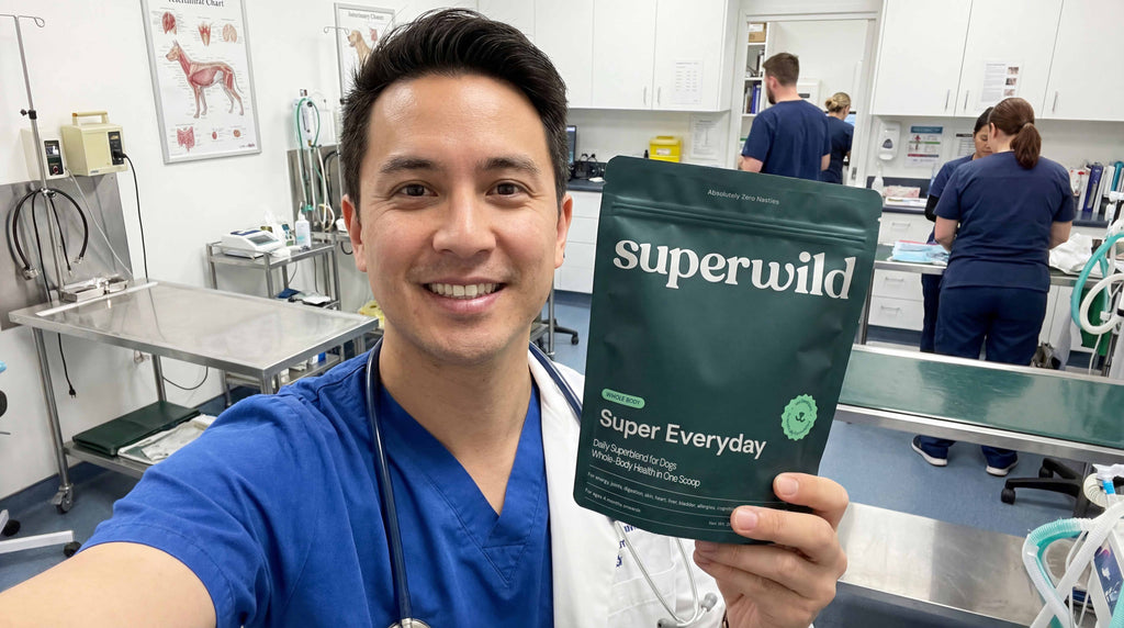 Super Everyday