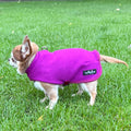 Tiny Toastie Water Repellent Fleece Dog Coat by My Pup and Me Berry Crush