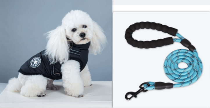 Wet Windy season rain silk Dog Coat