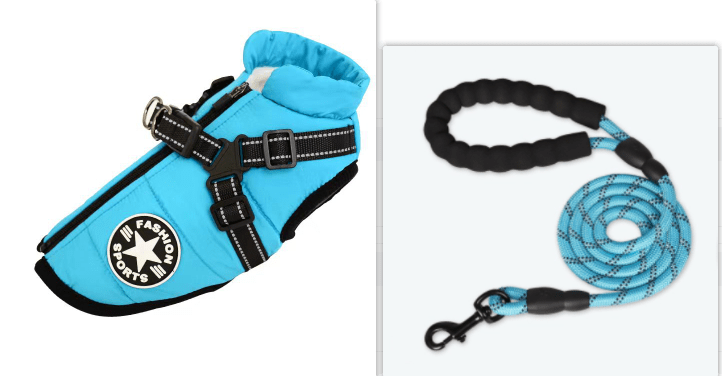 Wet Windy season rain silk Dog Coat